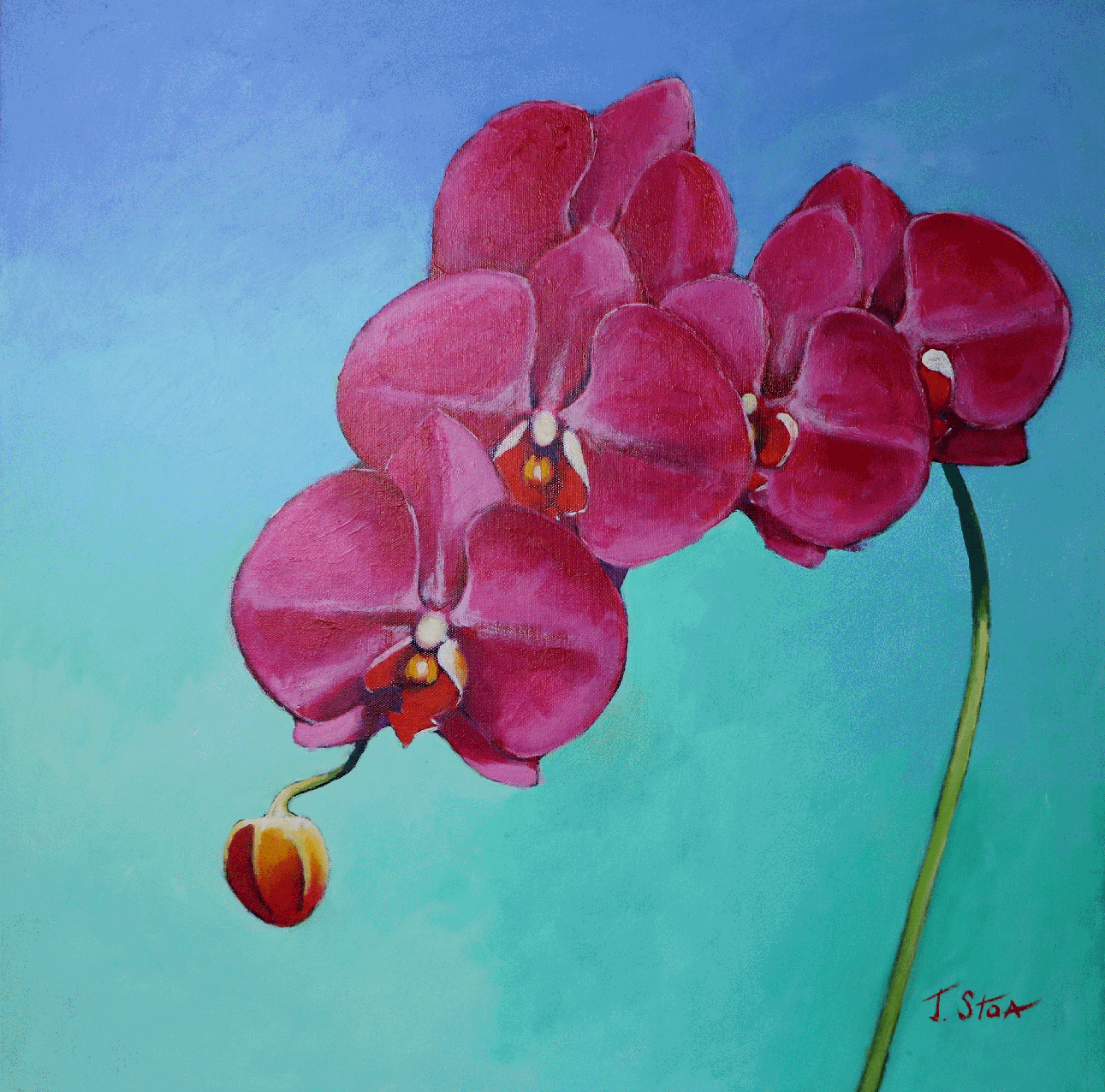 1814 Lilac Orchid.gif