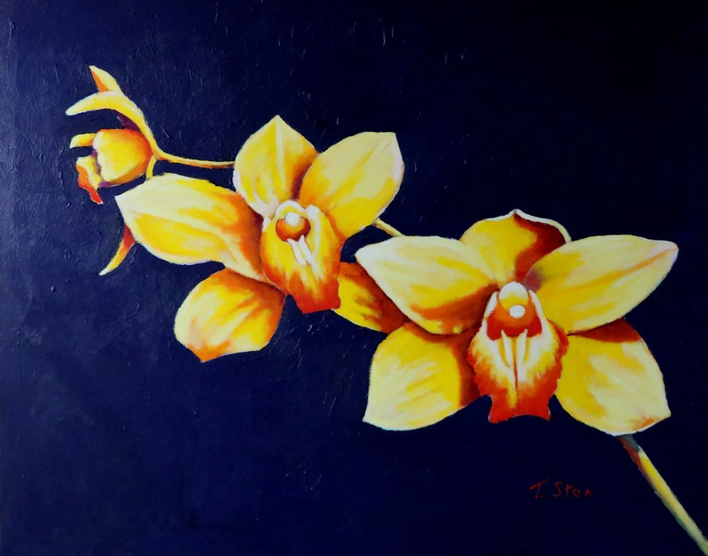 1872 Cymbidium Ormoulu.JPG