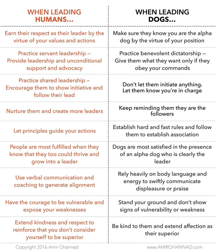 Leadership Lessons I Learned from the Dog Whisperer — The Ghannad Group