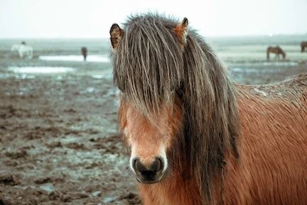 The Problem With Mud