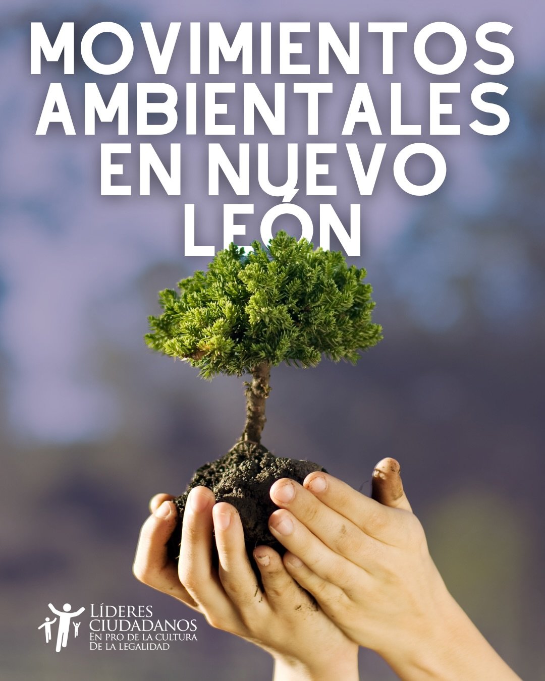 Conecta! Medio Ambiente 🌿🌳🌱
En L&iacute;deres Ciudadanos buscamos ser una red de apoyo para conectar a los j&oacute;venes con causas sociales, promoviendo la participaci&oacute;n ciudadana y la formaci&oacute;n de l&iacute;deres. 

Y tu &iquest;co