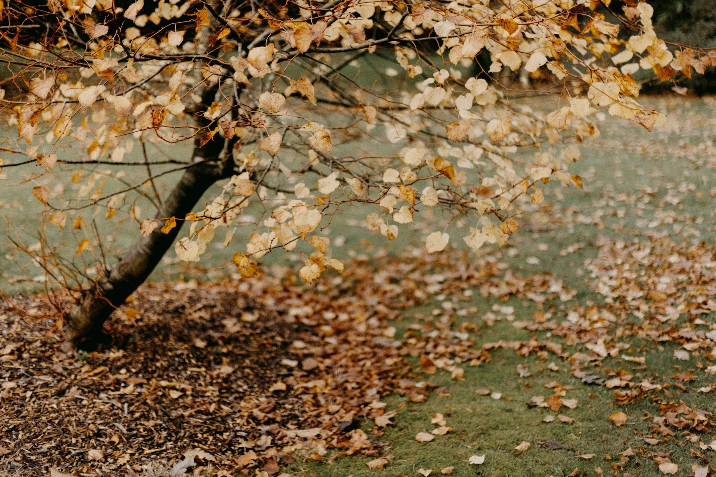 seasons of life