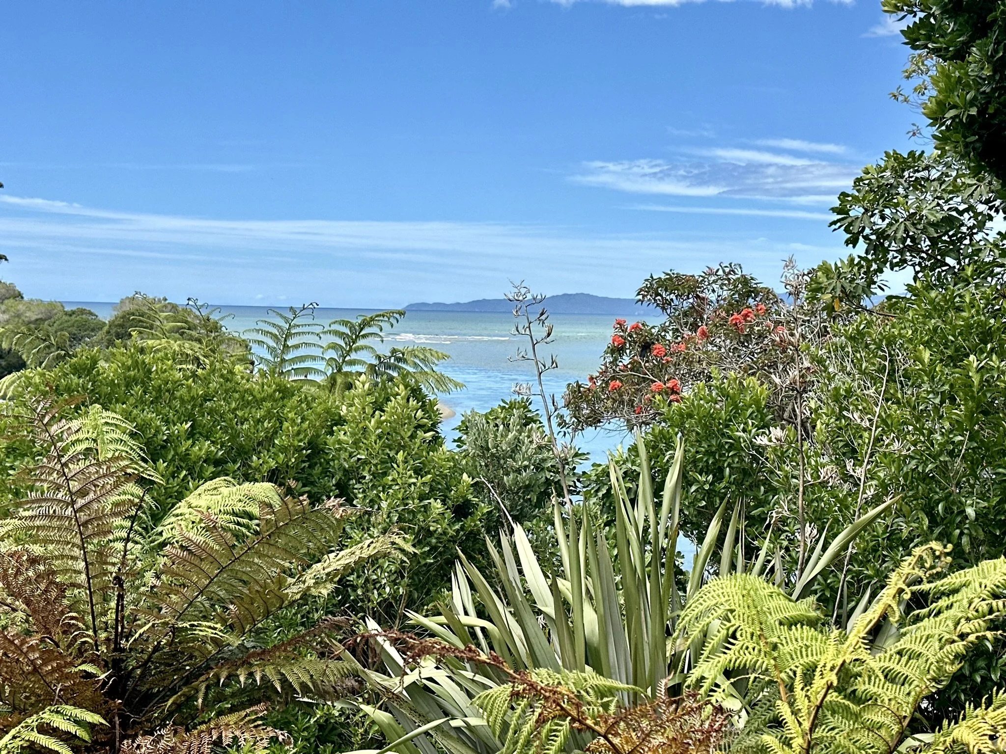 Green Prescription Wellness Newsletter – Summer 2024