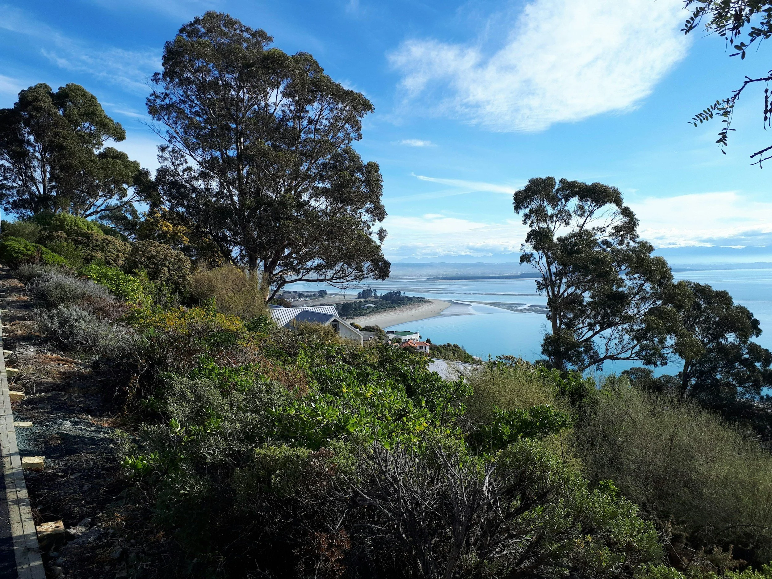 Quantifying and understanding the impact of unmet need on New Zealand general practice