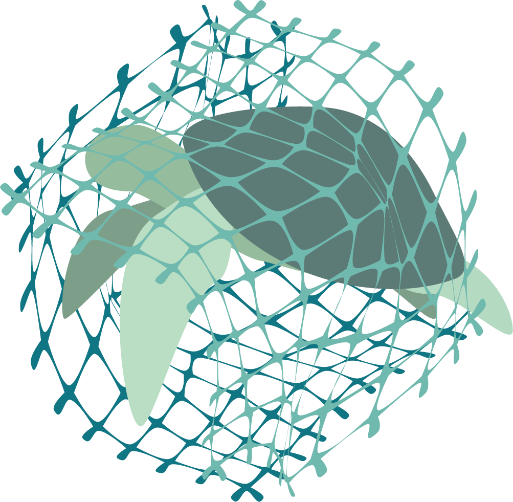 turtle tangled.png