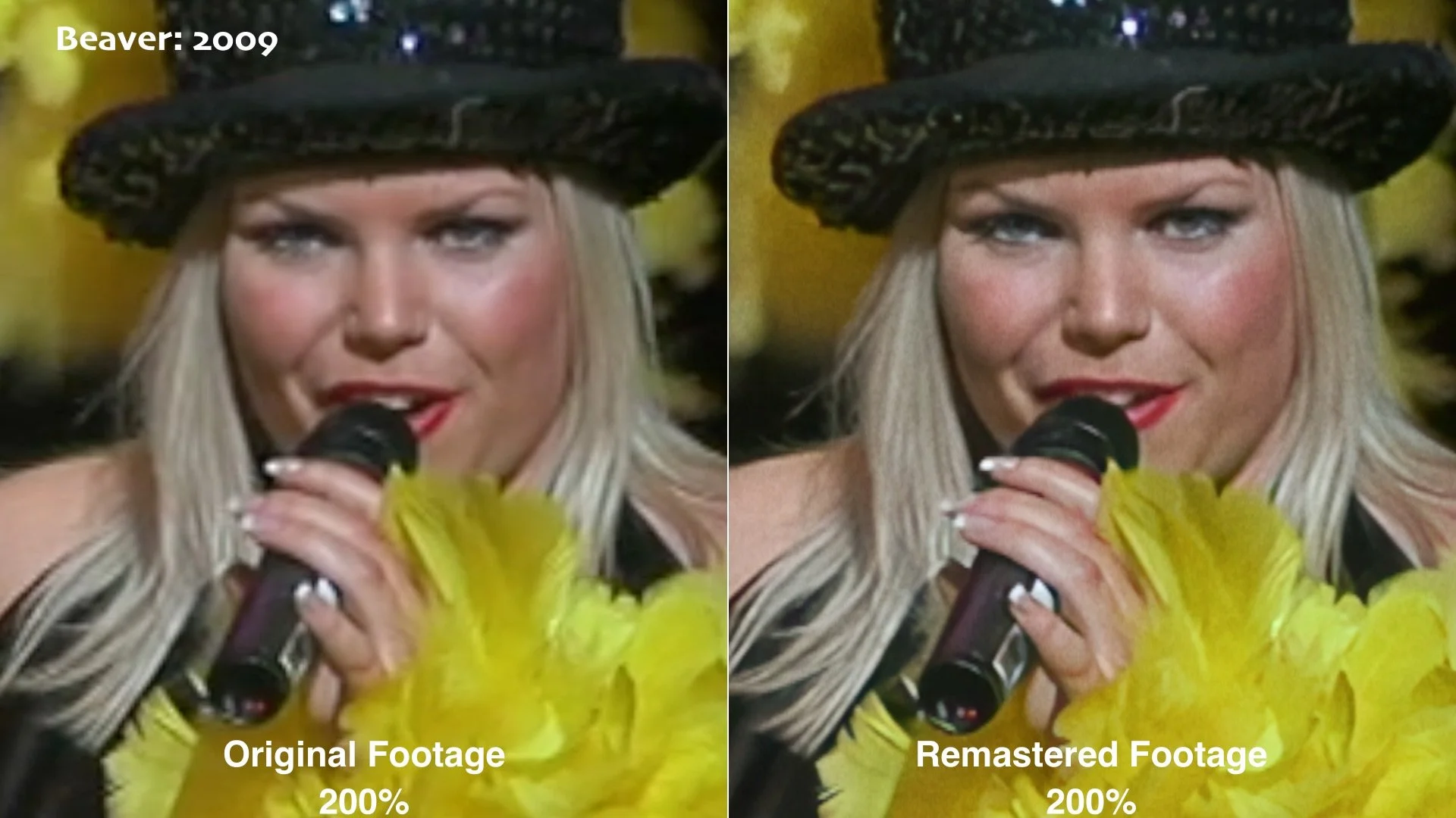 Beaver Comparison.jpg