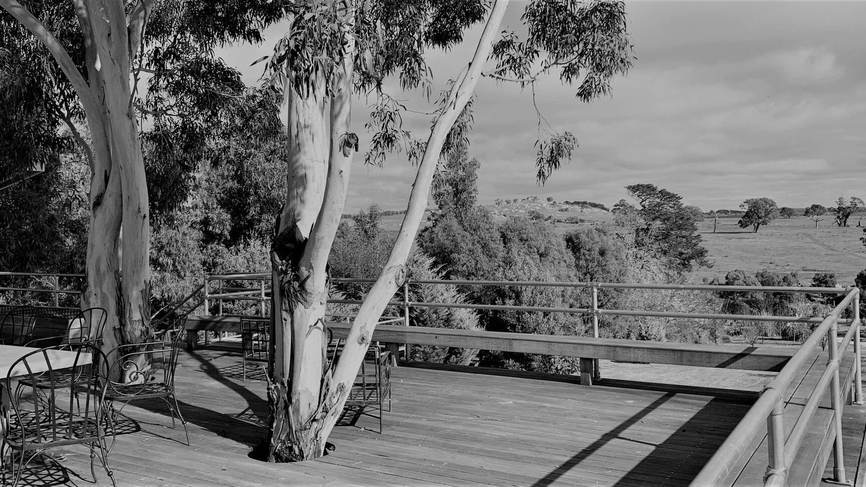 A black and white photo of an outdoor terrace with a table and chairs under a large tree, overlooking a scenic landscape of rolling hills and scattered trees.
