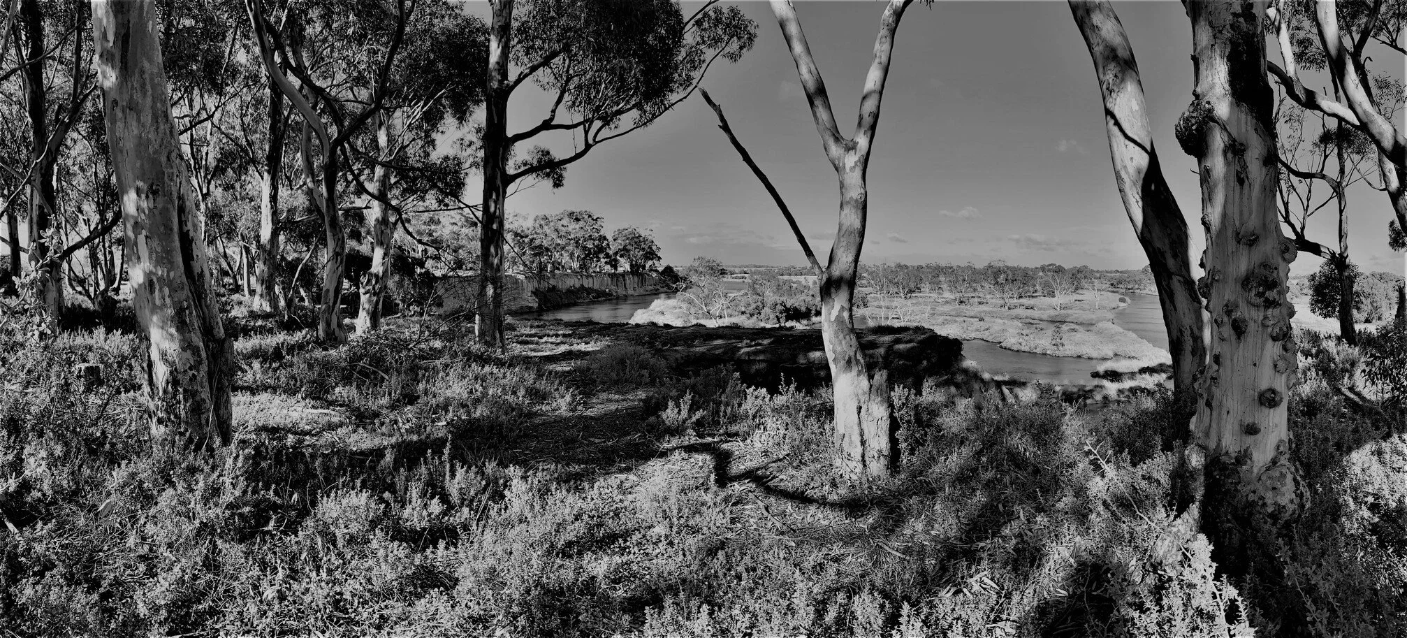 Werribee-River-Black-White-Melbourne-Geotechnics