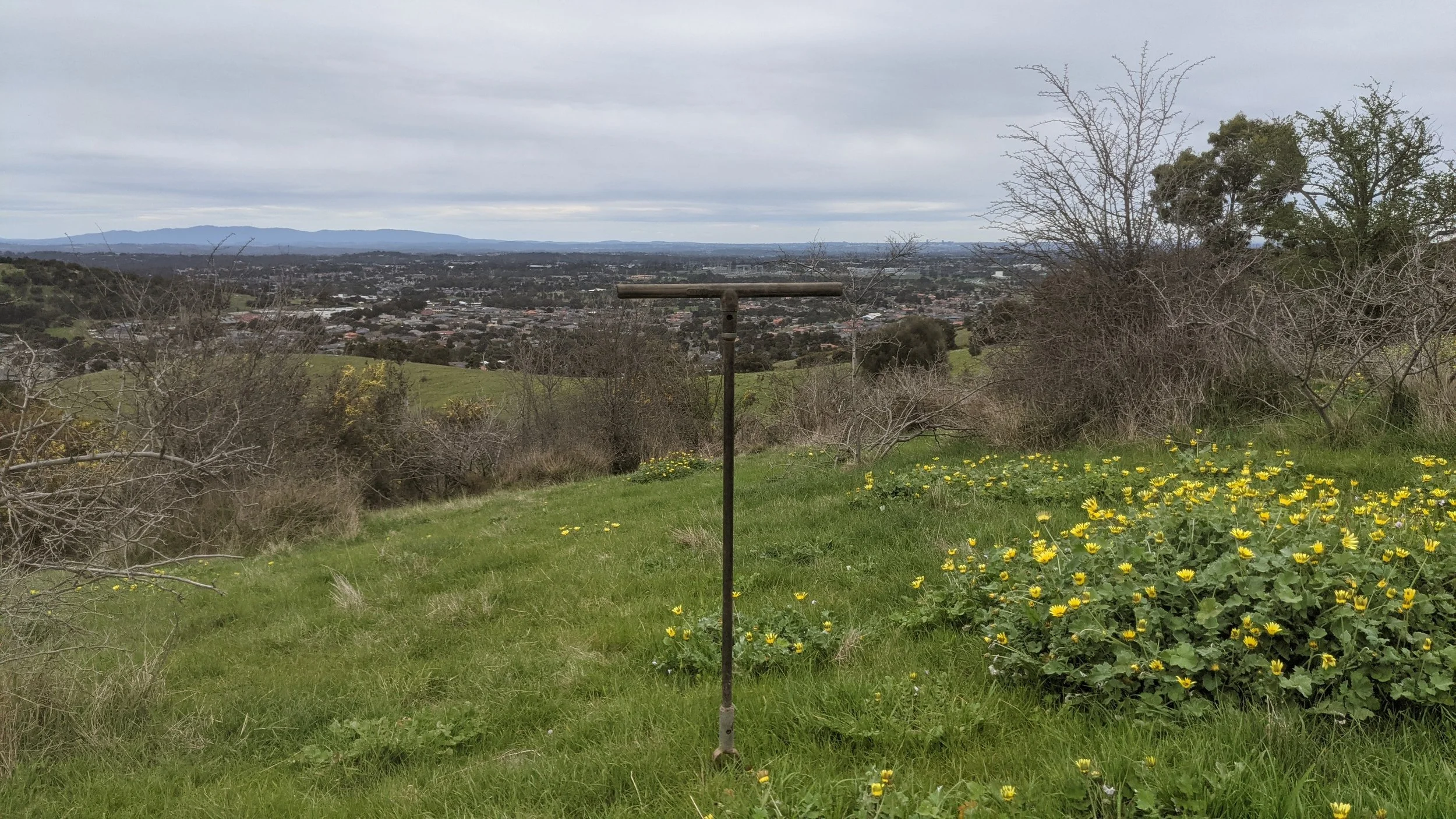 Empty telescopic viewing stand on a grassy hilltop overlooking a cityscape with trees, wildflowers, and mountains in the background under an overcast sky.