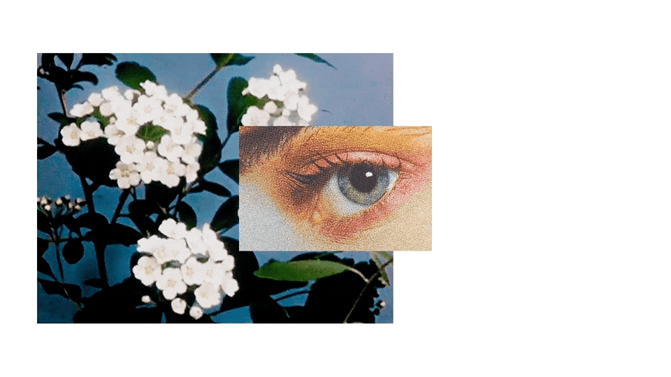 Visual_Exploration.gif