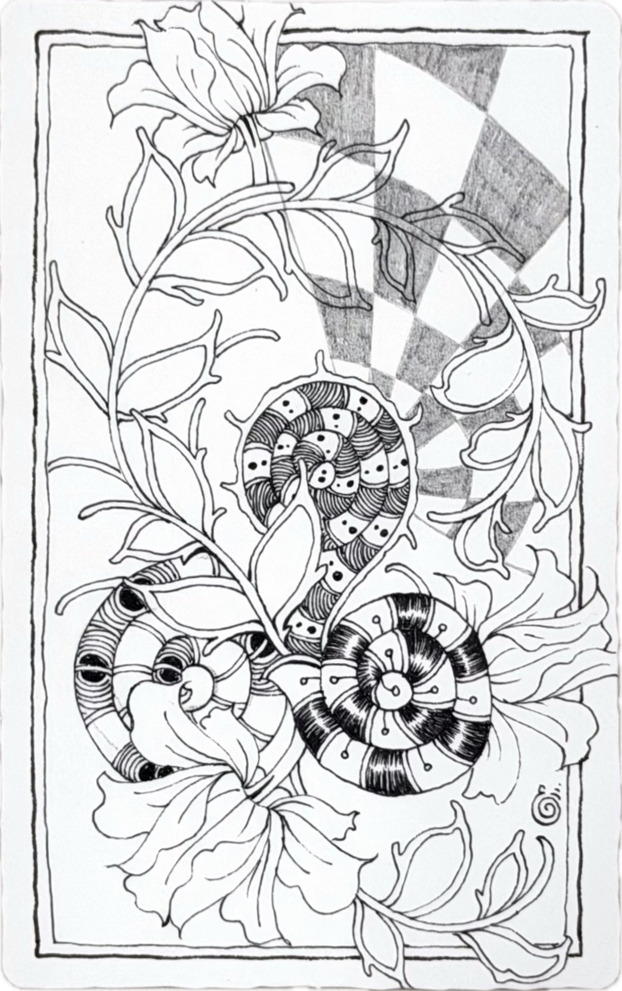 S__34406424_0.jpg