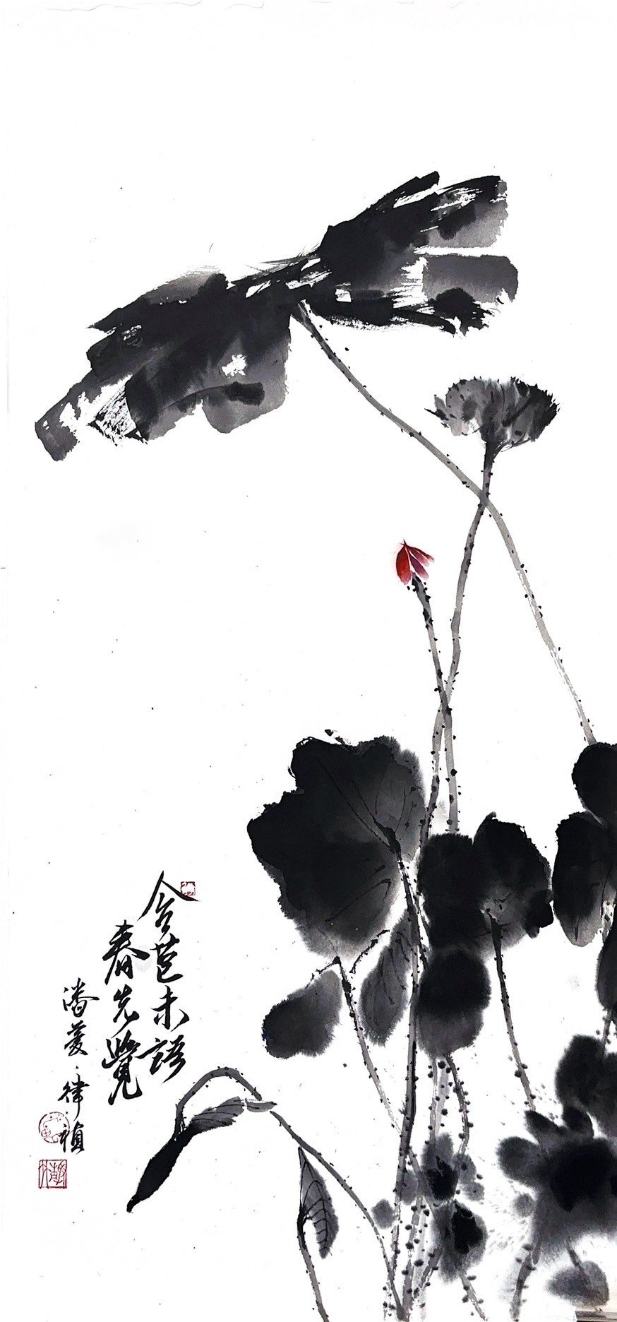 LINE_ALBUM_老師作品_250511_8.jpg