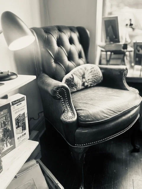 Cat pillow on a cozy leather reading armchair