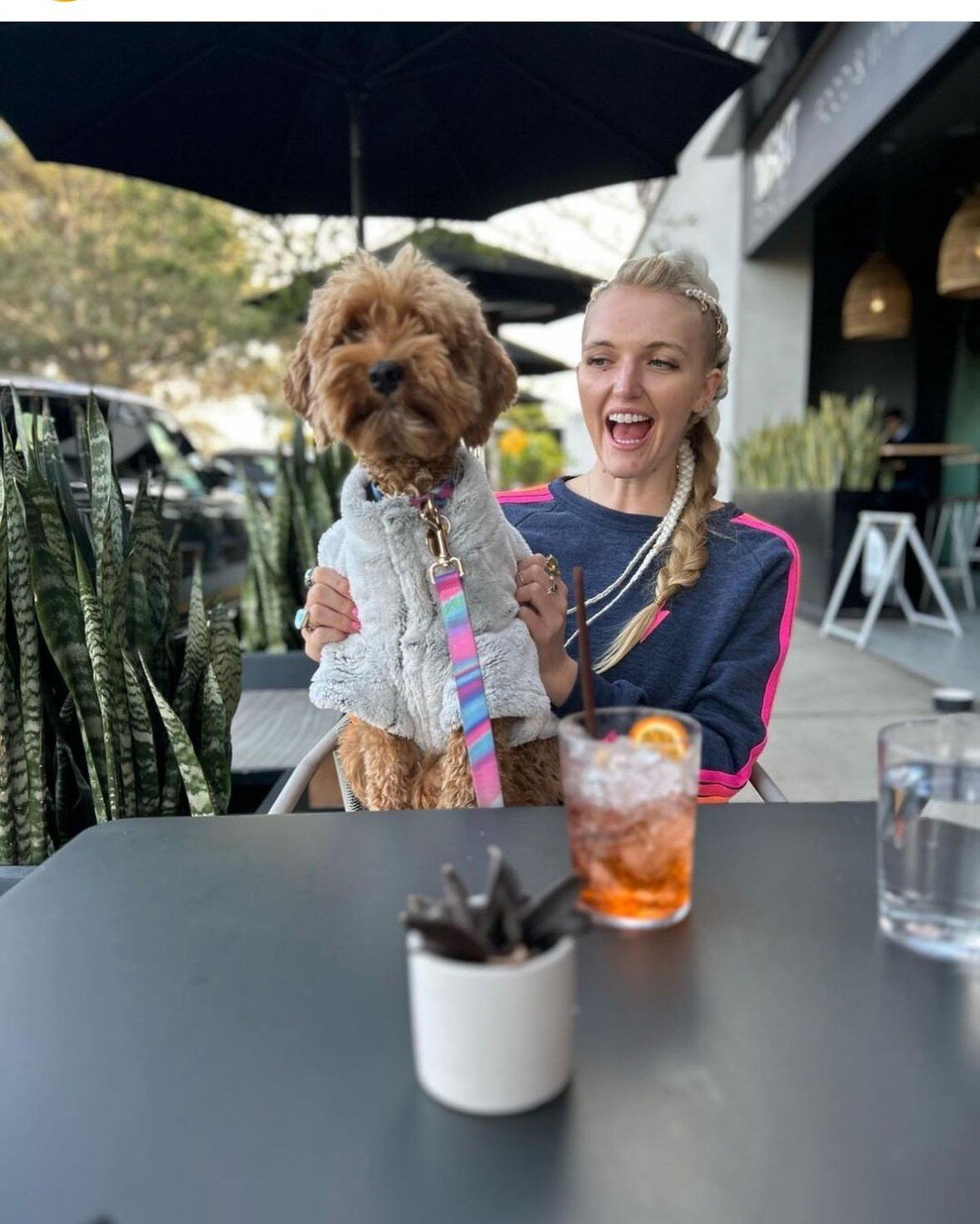 Strolling through the neighborhood? 

Stop in and quench your thirst. And bring your furry friend! 

.
.
.

📸 @the_euphoria_effect #mrktspace_us  #lajolla #lajollashores #sandiego #sandiegoliving #sandiegofood #sandiegoeats 
#visitsandiego  #sandieg