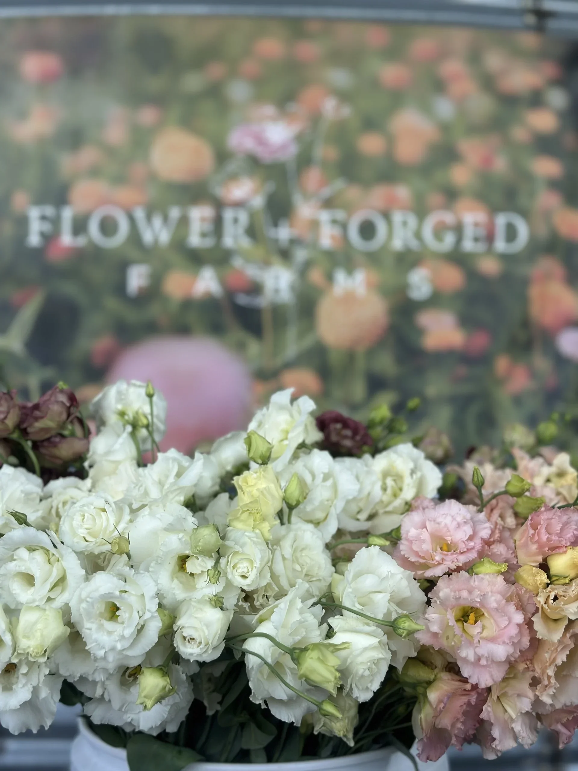Flower Class