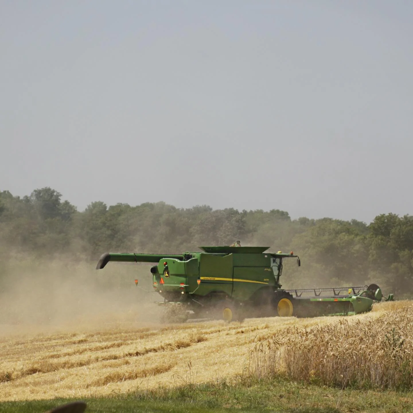 Happy National Ag Day! Cheers to all our fellow farmers out there! We are so very grateful to be able to do what we do!