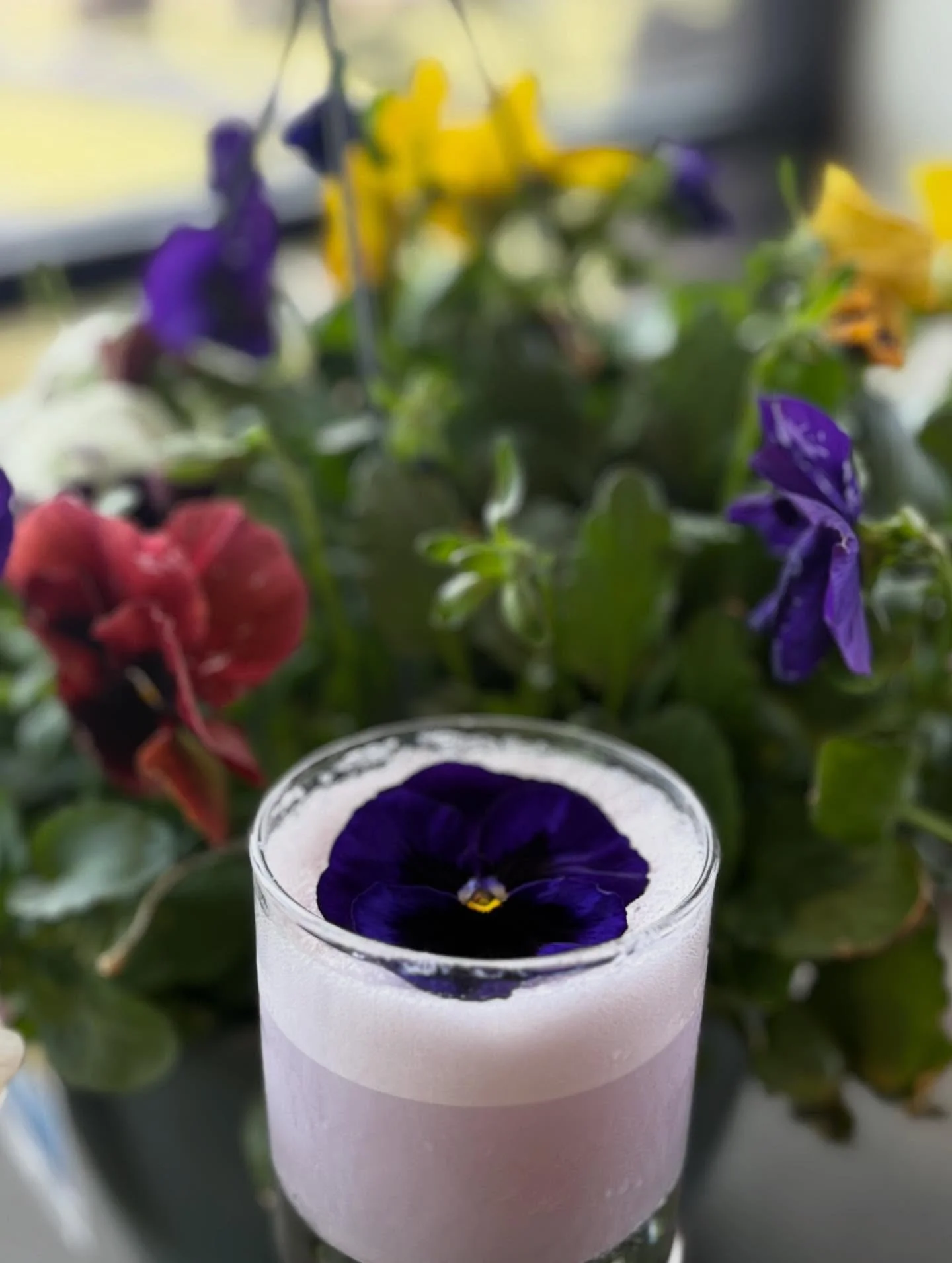 💜🌸Our April Spring Cocktails debut today!🚜🌾

💜Purple Cream Lemonade 
 -R/Farm Vodka 
 -R/Farm Gooey Butter Cake 
 -Butterfly Pea Powder 
 -Lemon Juice 
 -Simple Syrup 

🚜Fun on the Farm
 -R/Farm Vodka 
 -Orange Juice
 -Cranberry Juice
 -Peach P