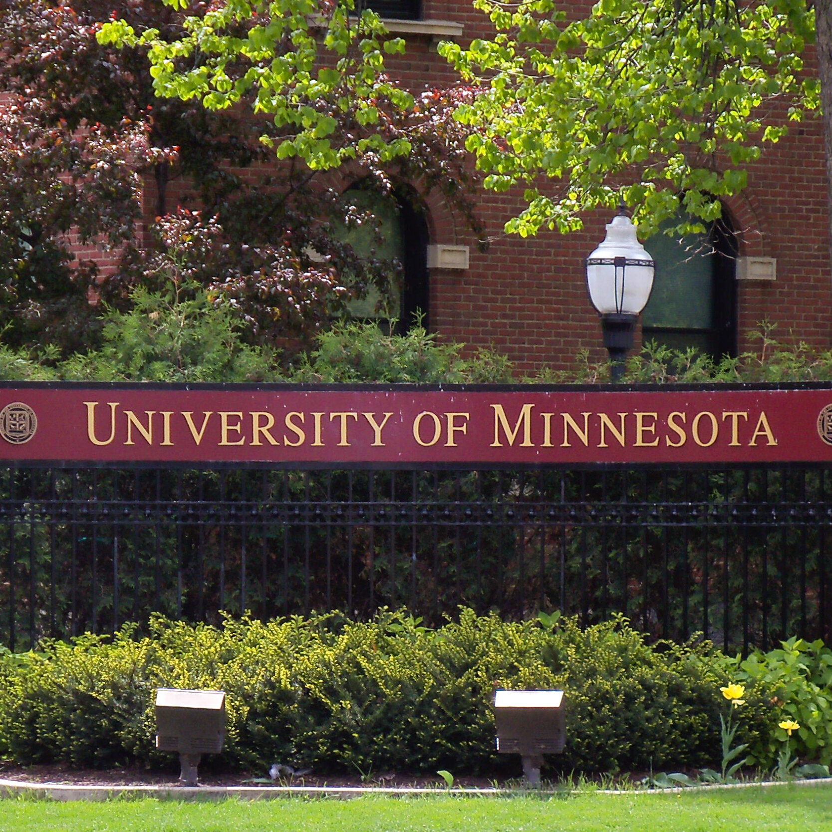 University of Minnesota