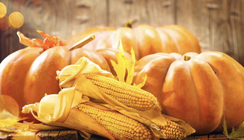 Children's Thanksgiving Celebration