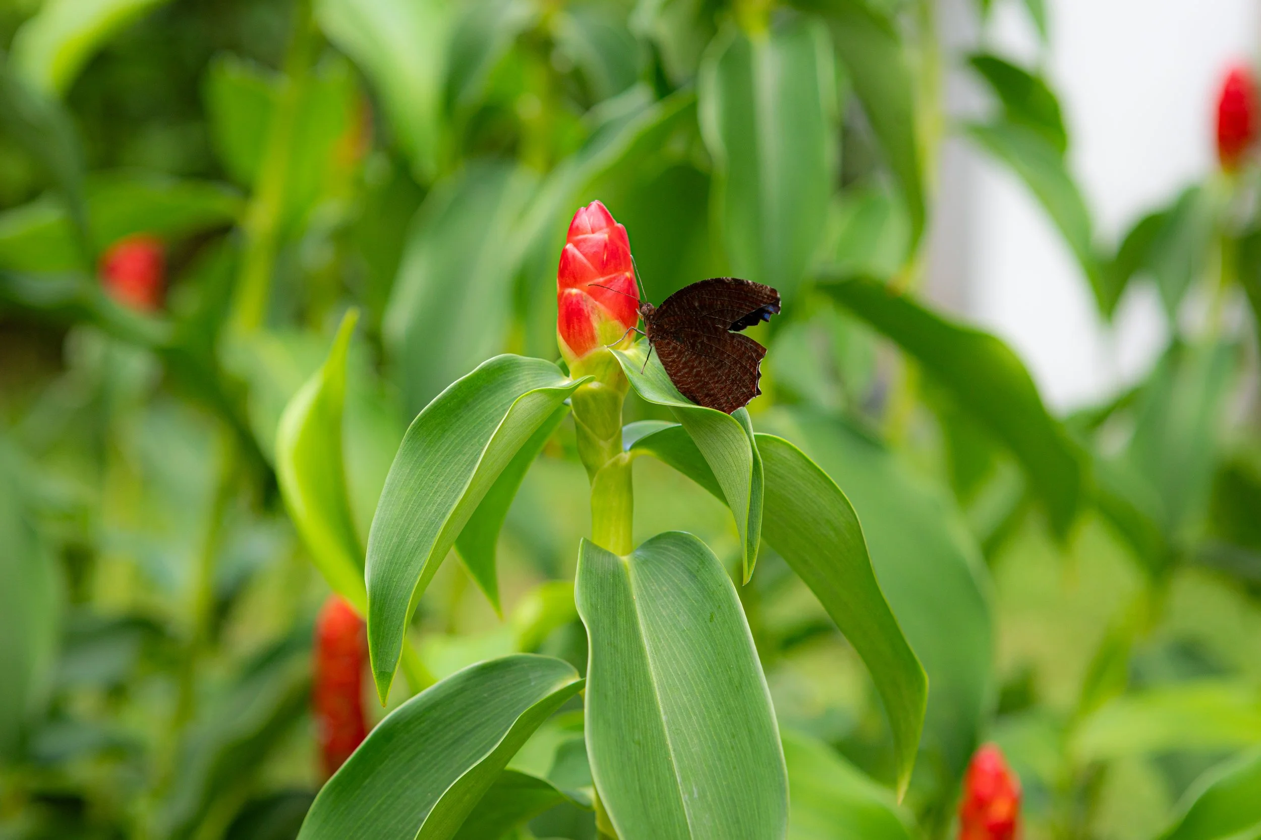 Tampines26-389.jpg