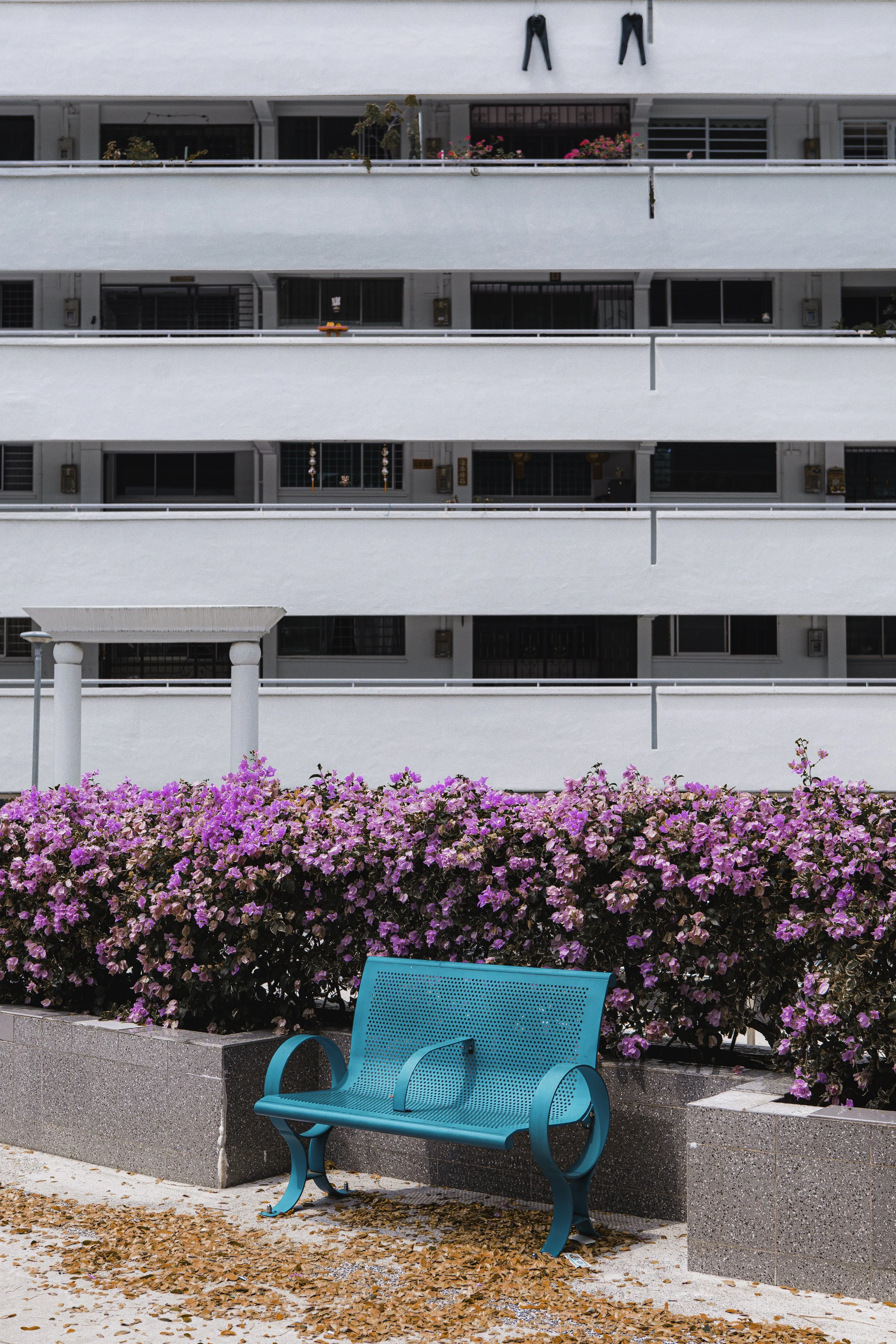 Tampines26-521.JPG