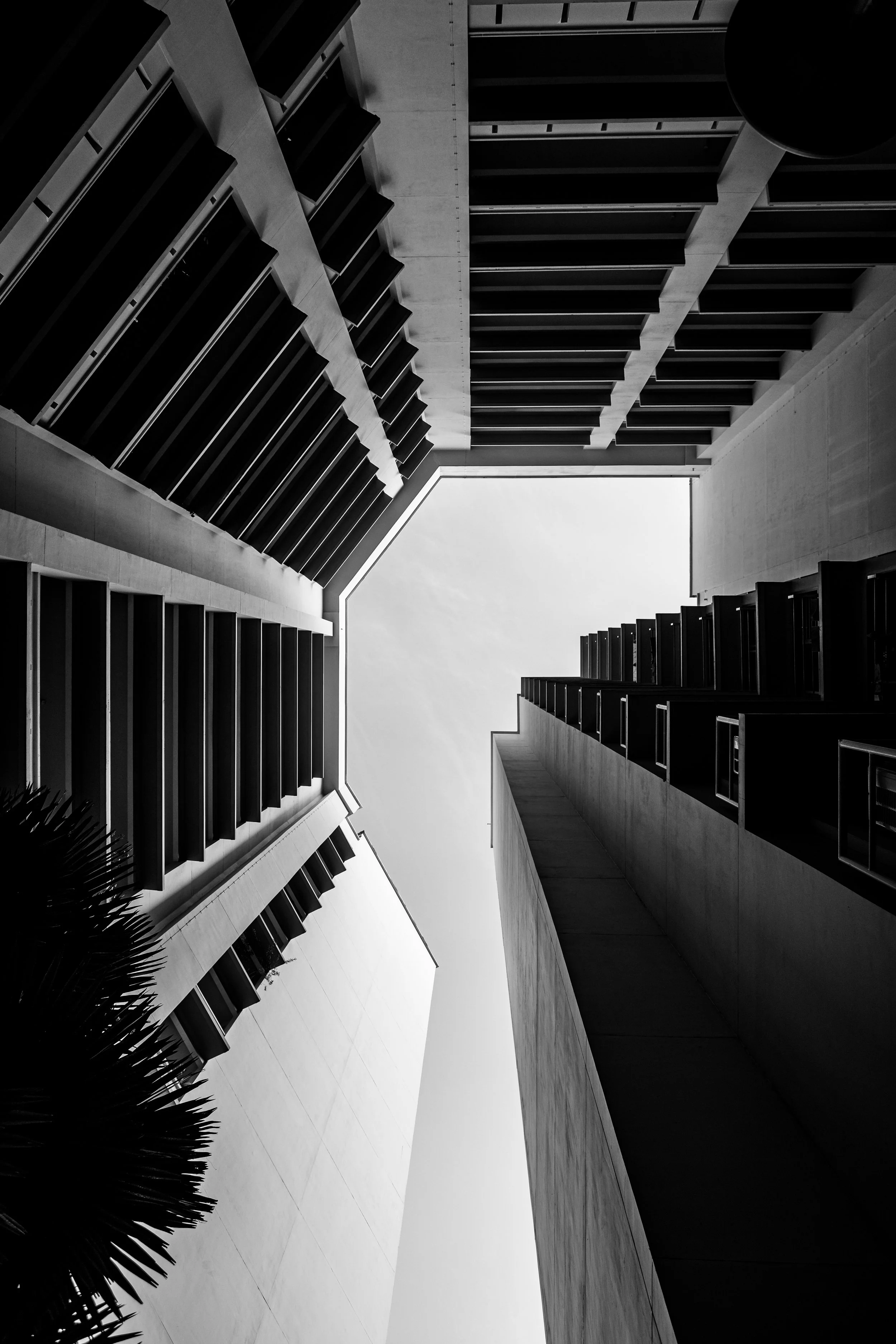 Tampines26-425.jpg