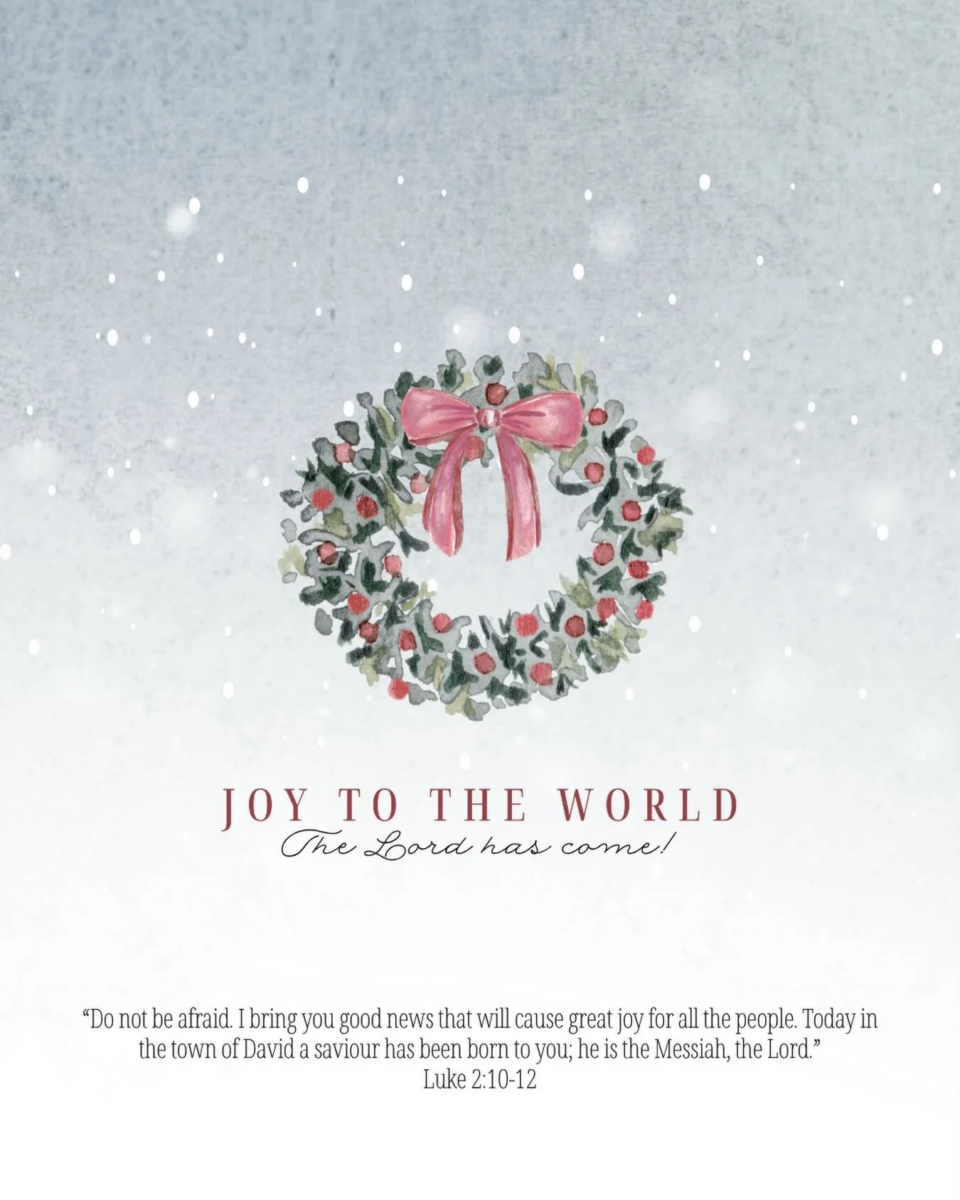 &ldquo;Do not be afraid. I bring you good news that will cause great joy for all the people. Today in the town of David a saviour has been born to you; he is the Messiah, the Lord.&rdquo; Luke 2:10-12

JOY! 😍

#christmas #christianauthorsofinstagram