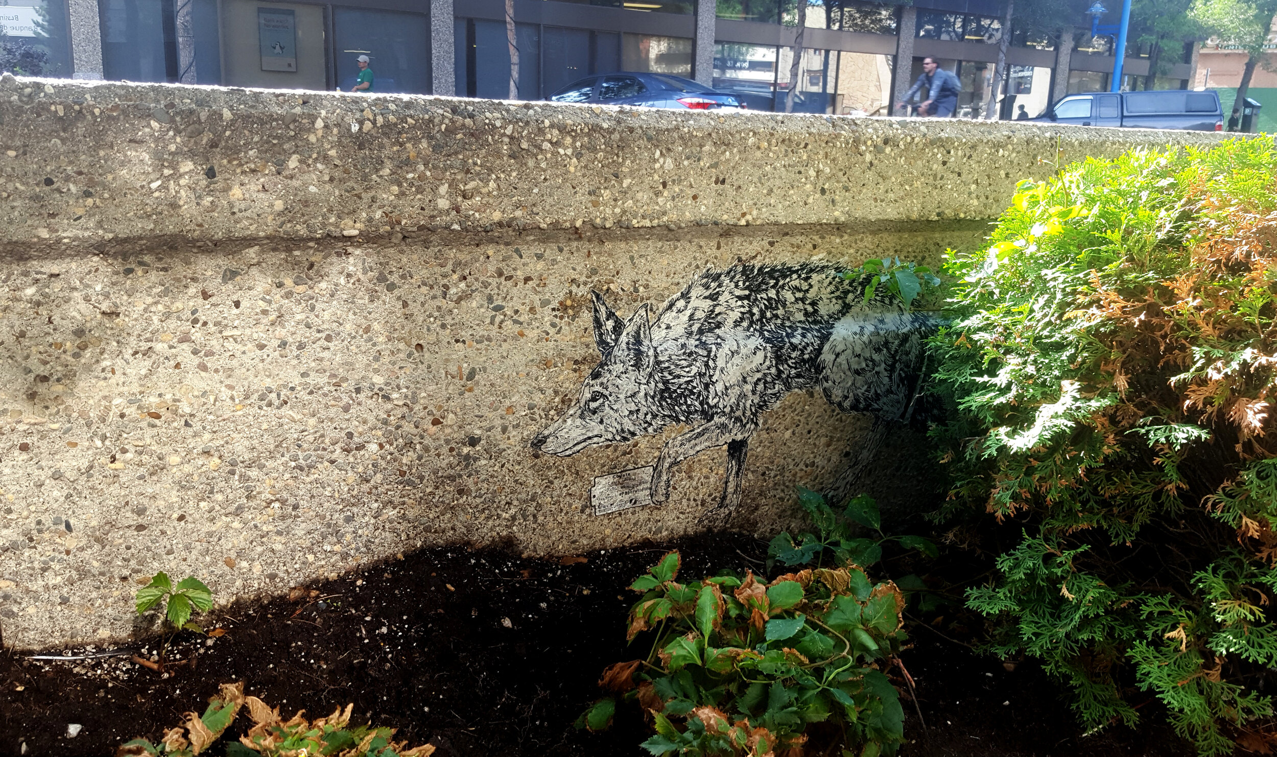20160804_091529.jpg