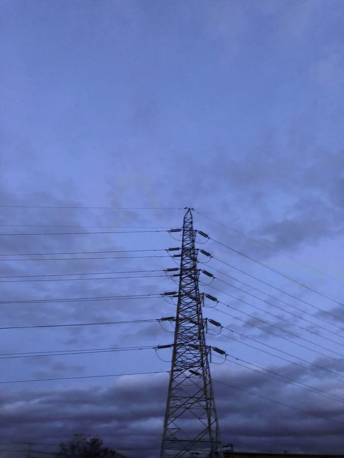 おはよう、靴下