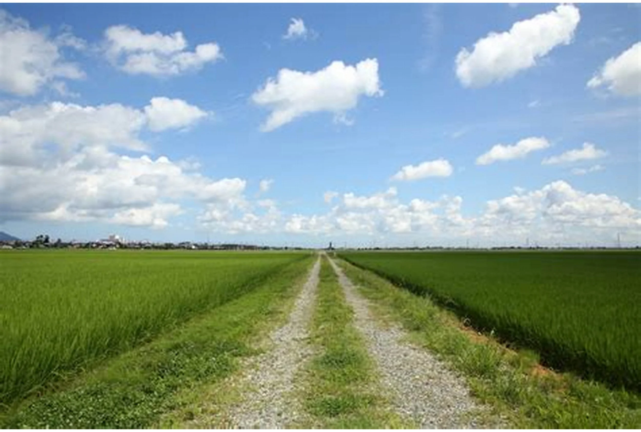 地元のおすすめ卍