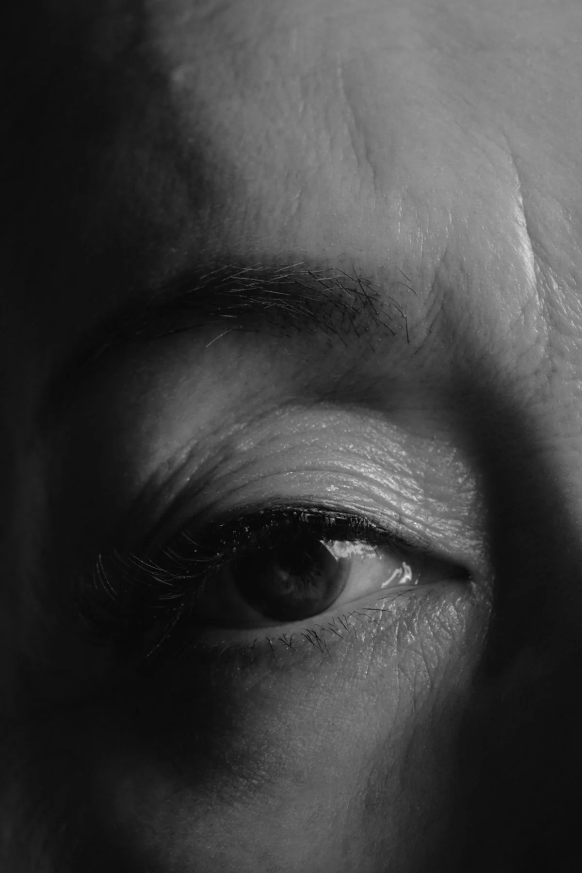 TM_0715_1891.jpg
