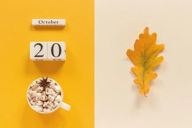 4G Mobile Network on the Moon