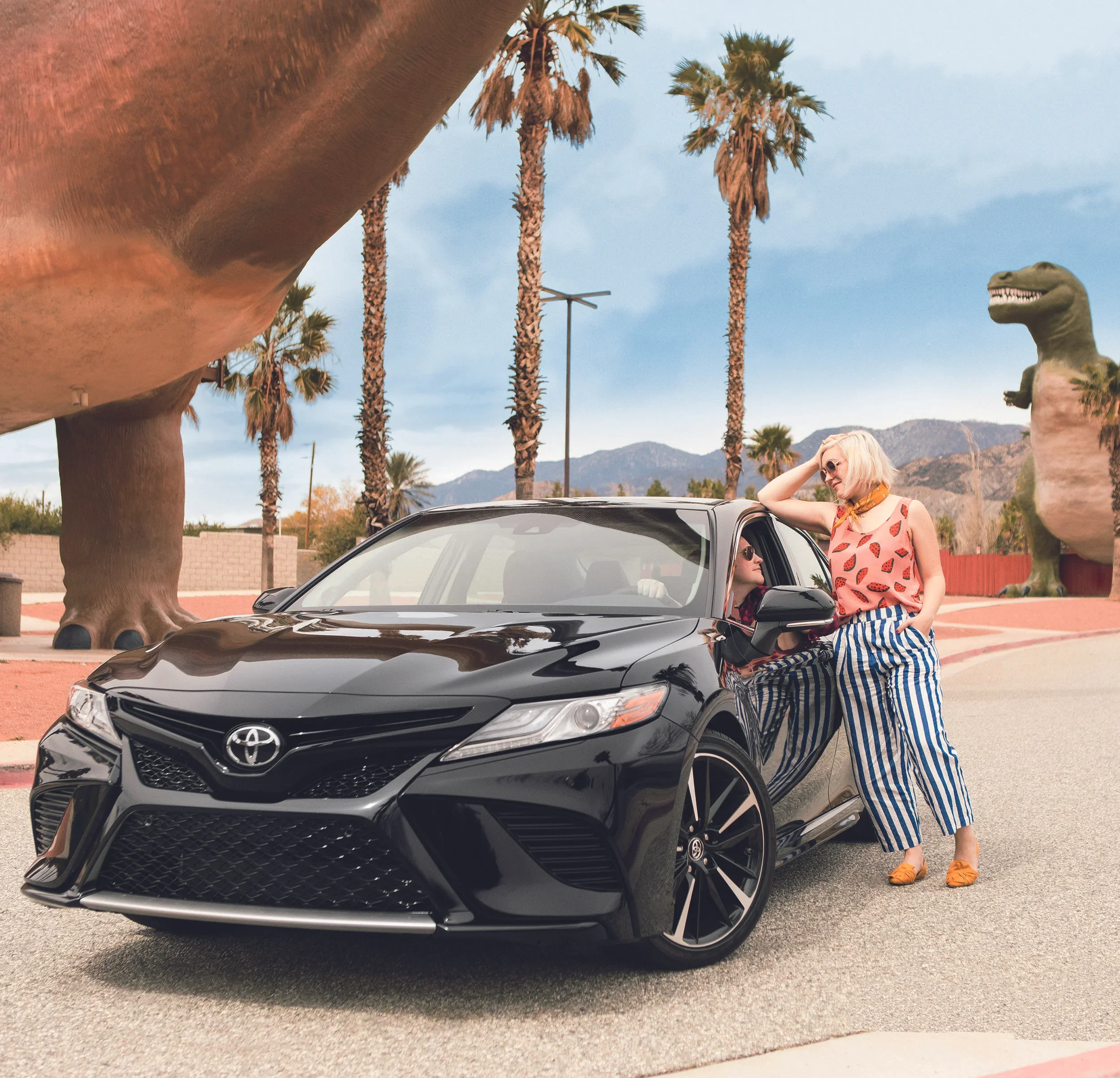 TTDcamry.webp