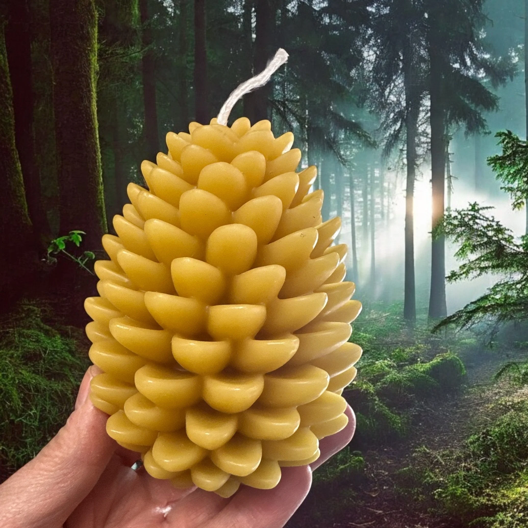 Pinecone Beeswax Candles - Woodland Collection