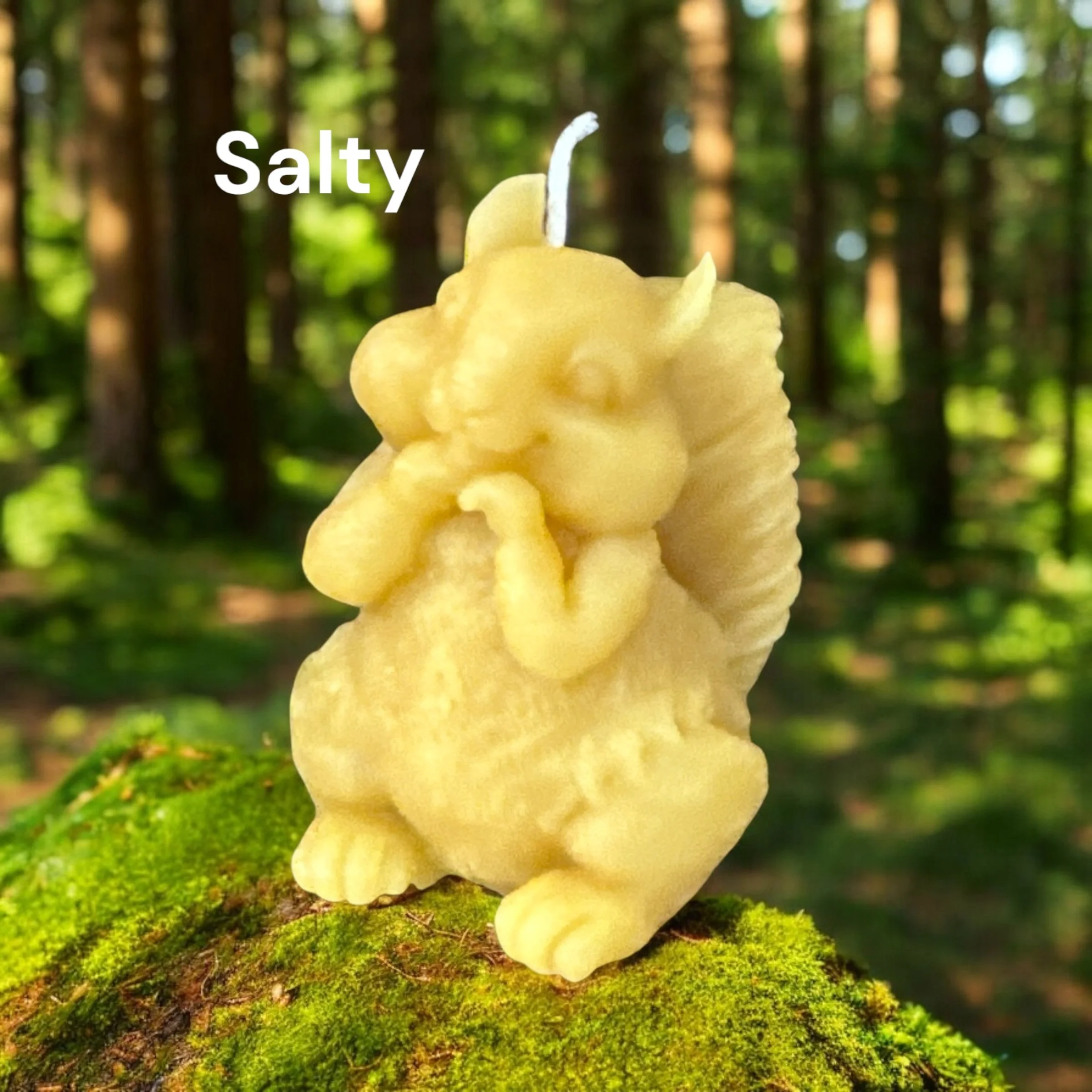 SALTY+SQUIRREL+3x2x2.75++0.2lb++R%245.99.jpg