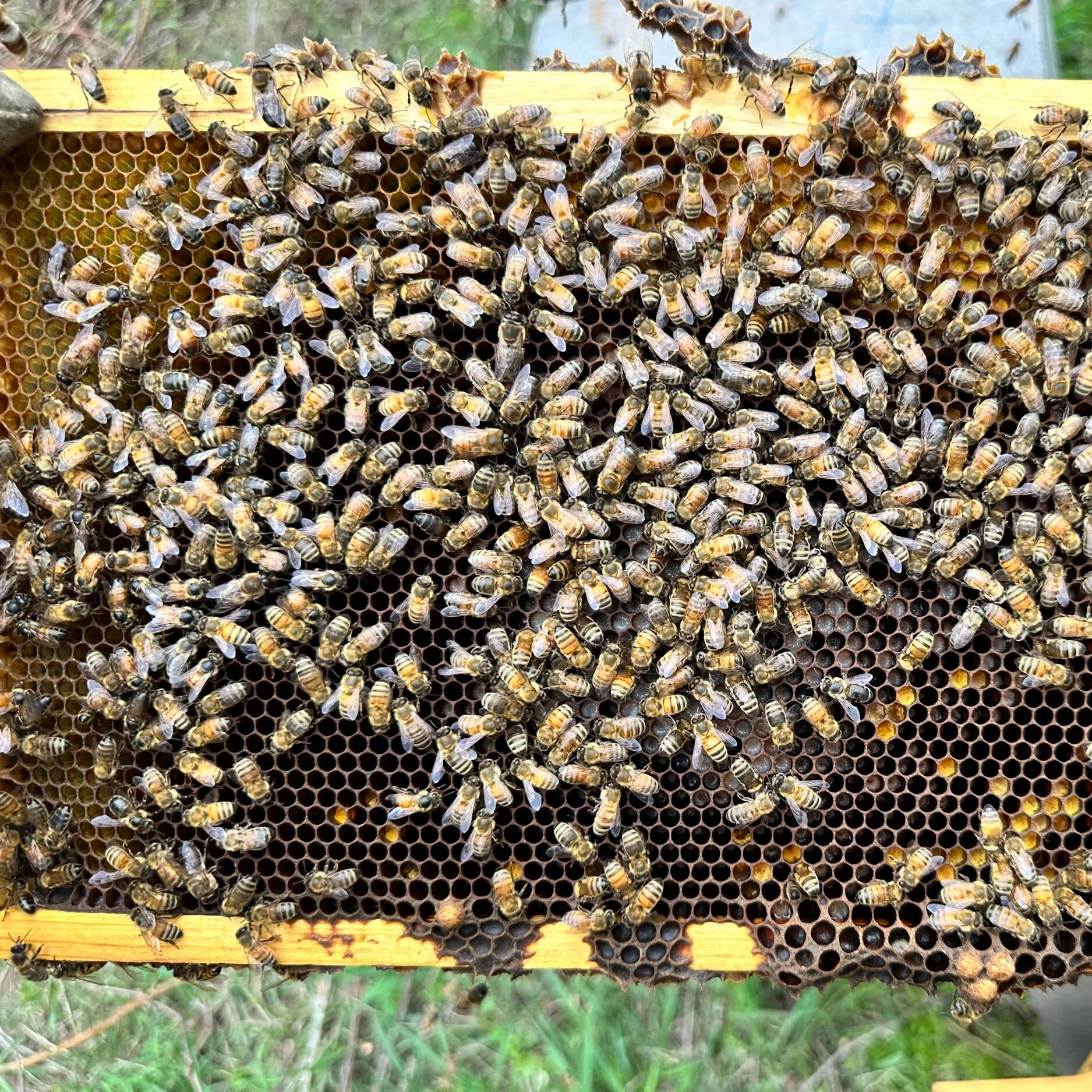 C2942F10-7879-4C04-92C4-45336B10FC46