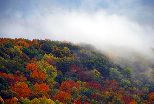 Screen Shot 2021-04-13 at 3.29.09 PM.png