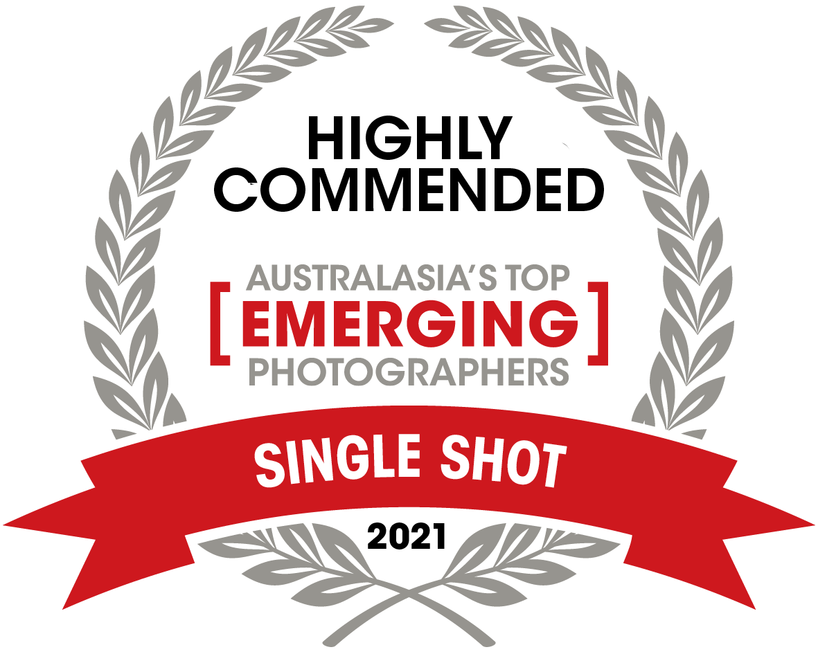 13163 CPH ATEP Single Shot Highly Commended.png