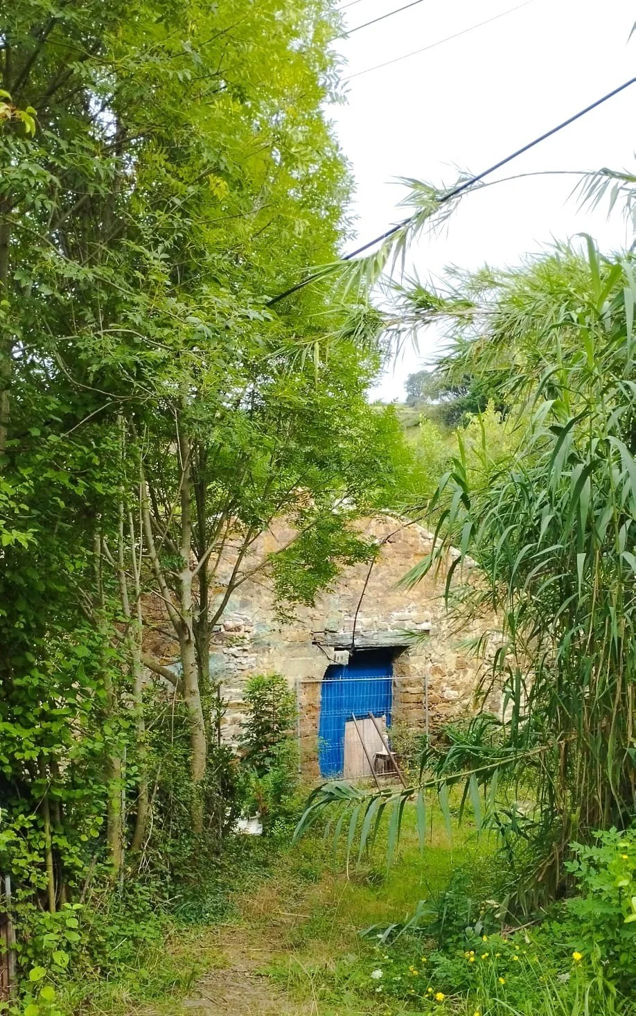 La puerta azul. La primera impresión. 