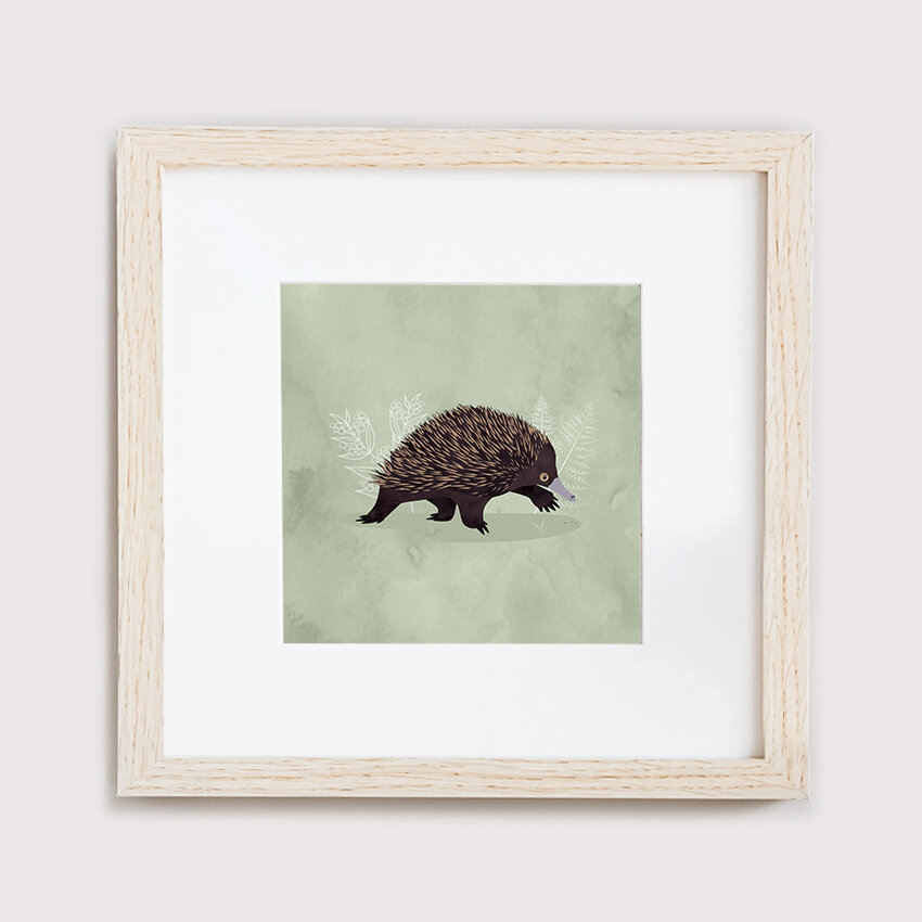 moose-designs-framed-print-square-echidna.jpg
