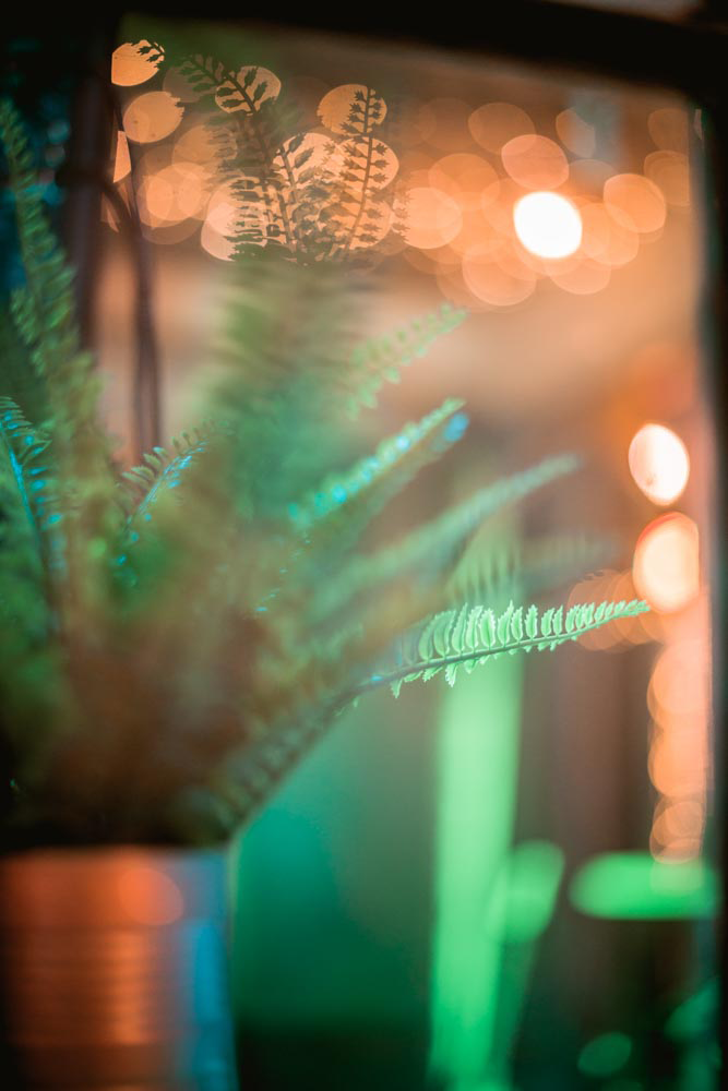 blurred-plant-.png