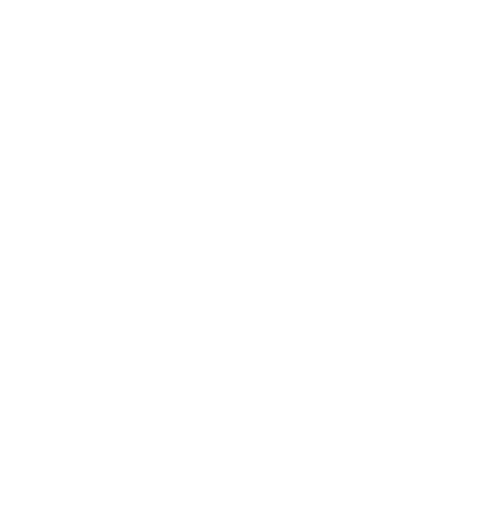 LIONSTAR SOCIAL
