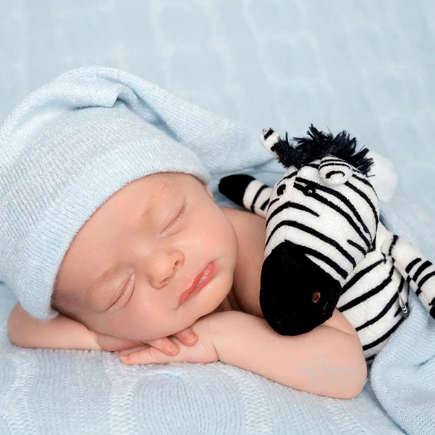 Just a baby boy and his favourite zebra 🩵

#newborn #newbaby #newbabyboy #newbornlove #babyboy #littleprince #newbornsession #newbornshoot #newbornphotohraphy #blue #babyblue #pastelblue #favouritetoy #bestfriends #myboy #myheart #magicmoments #trea