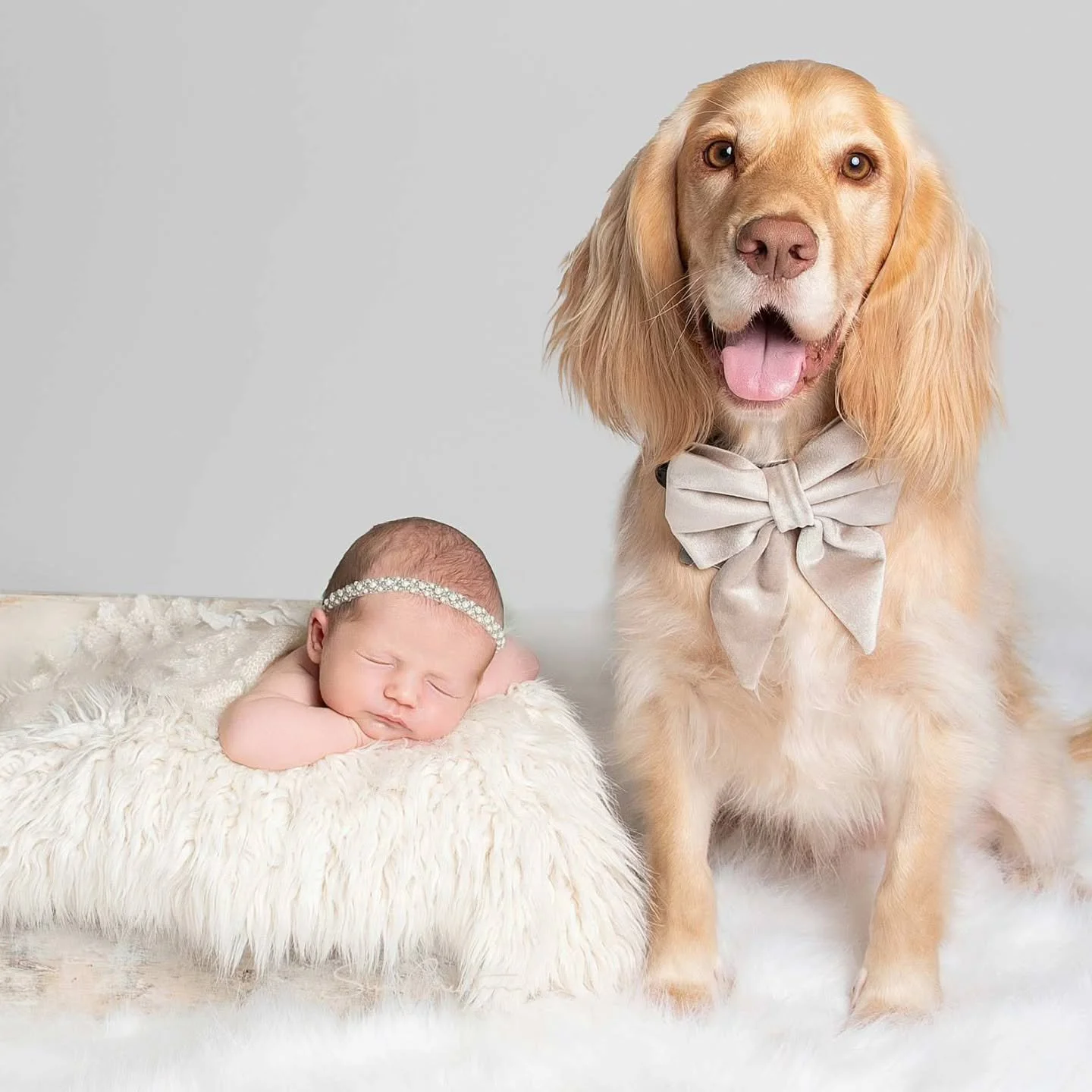 It is wonderful to be part of a family's story...