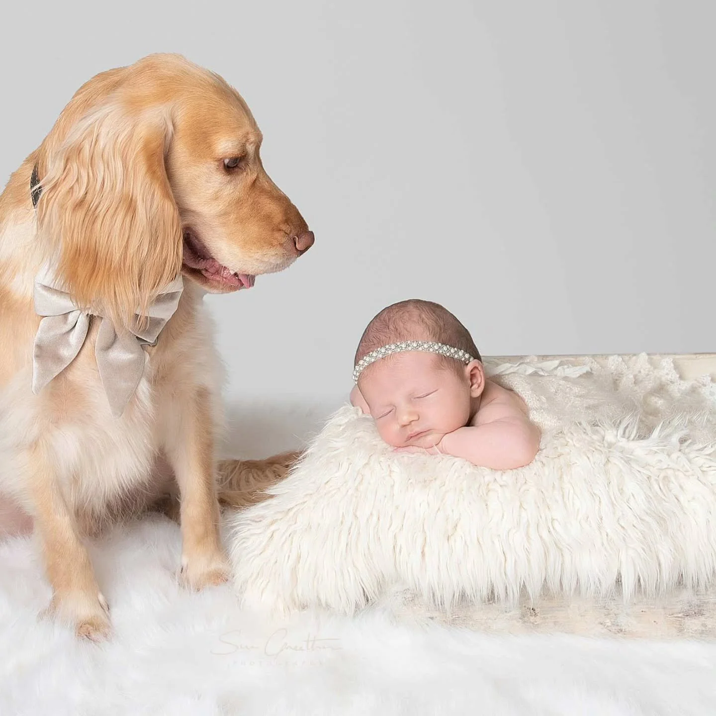 Feeling honoured to have shared in this beautiful journey as a couple welcomed their baby girl and became parents, and a daughter became a big sister.

#parenthood #newparents #sisterlove #sisters #doglove #furbabylove #miracleoflife #family #familyf