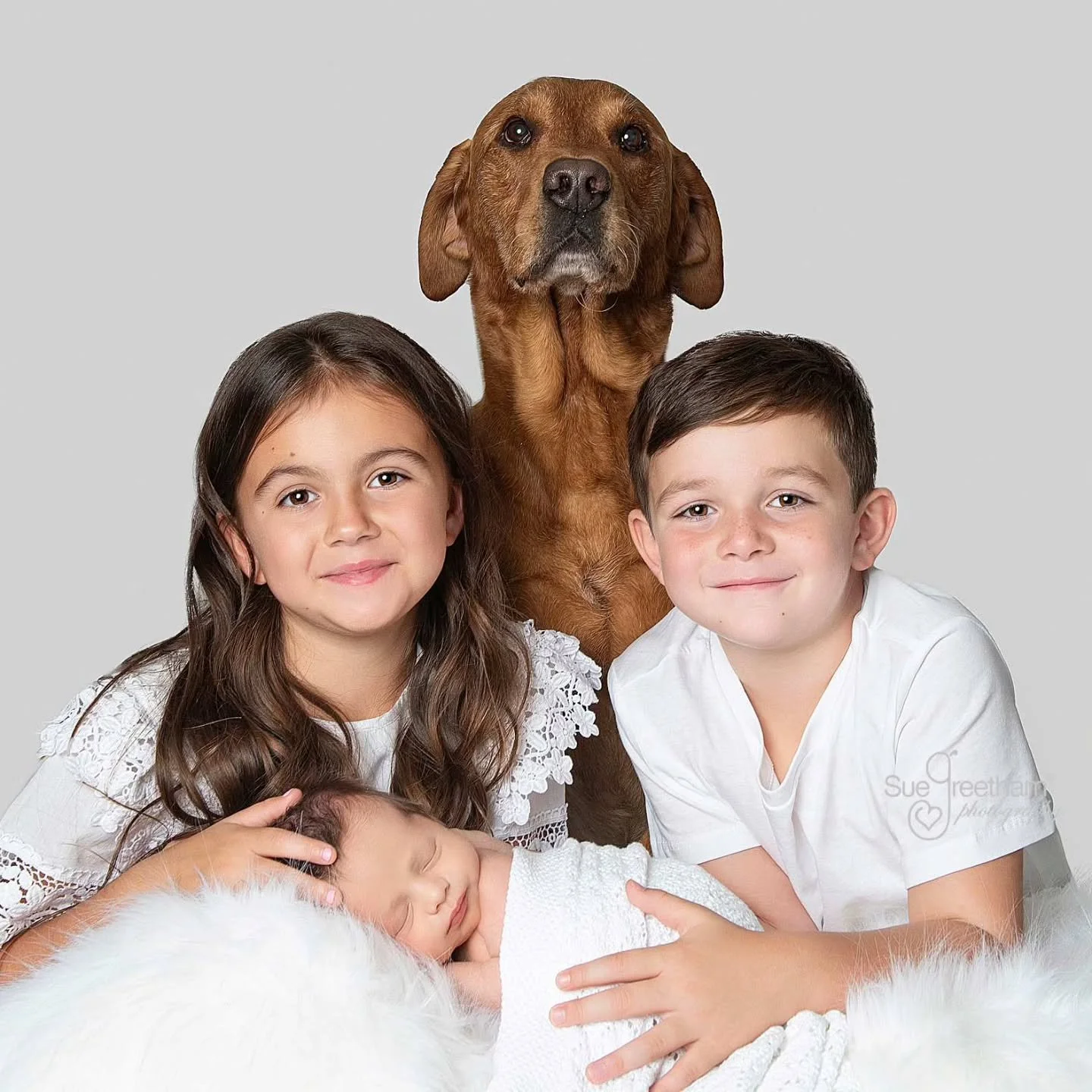 I often get asked if older siblings can be part of a newborn shoot, and my answer is always a resounding yes!

#newbornshoot #newbabylove #siblinglove #professionalnewbornphotographer #suegreethamphotography