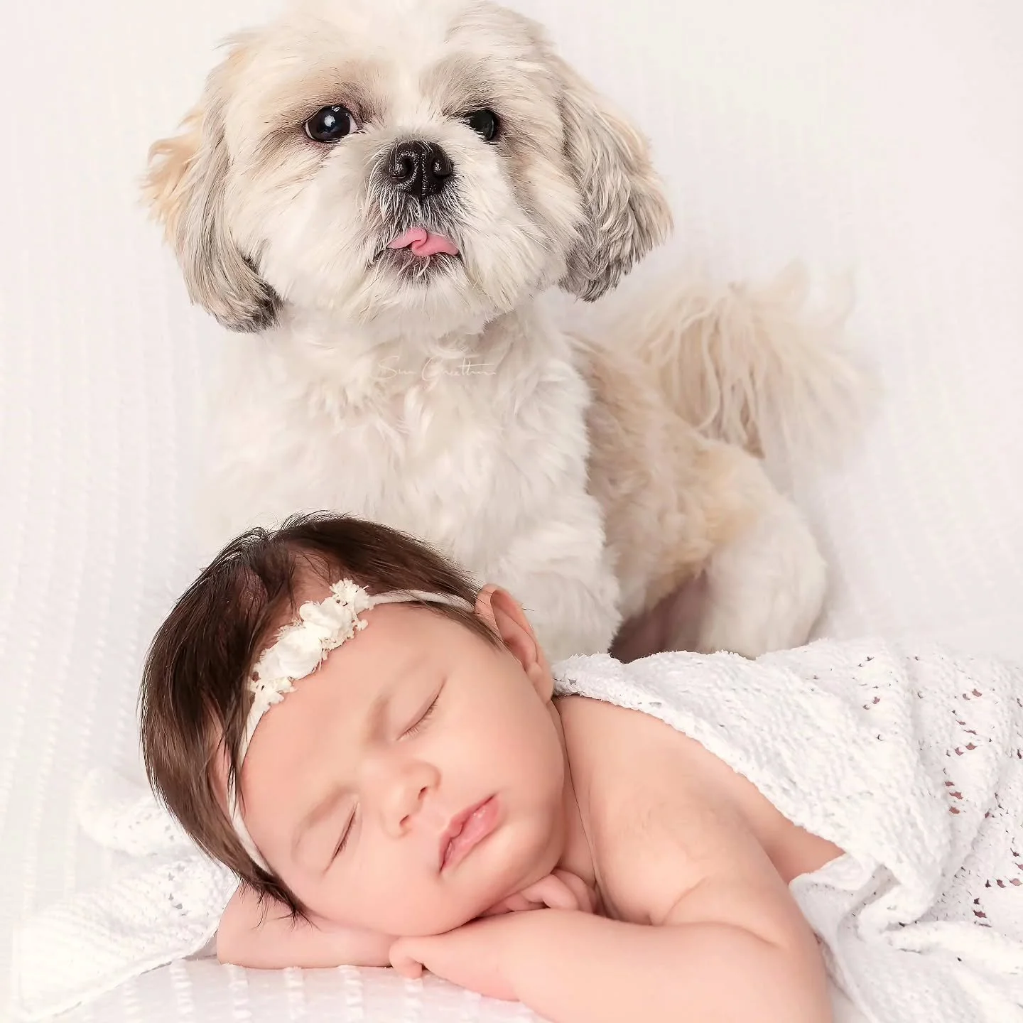 It's Babyshow time this weekend @babyandtoddlershows at Sandown Park.

Pop in and visit my stand to view more of my work, chat with me, and discuss your maternity, baby, and family photograph needs.

#professionalnewbornphotographer #professionalfami