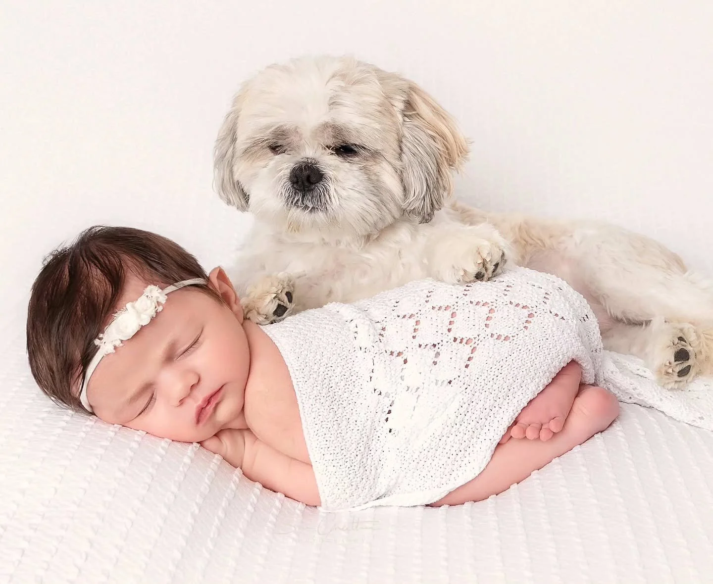When you keep watch over your new baby sister and the photographer gets the shot 😍

#newborngirl #newbaby #dogsofinstagram #professionalnewbornphotographer #professionalbabyphotographer