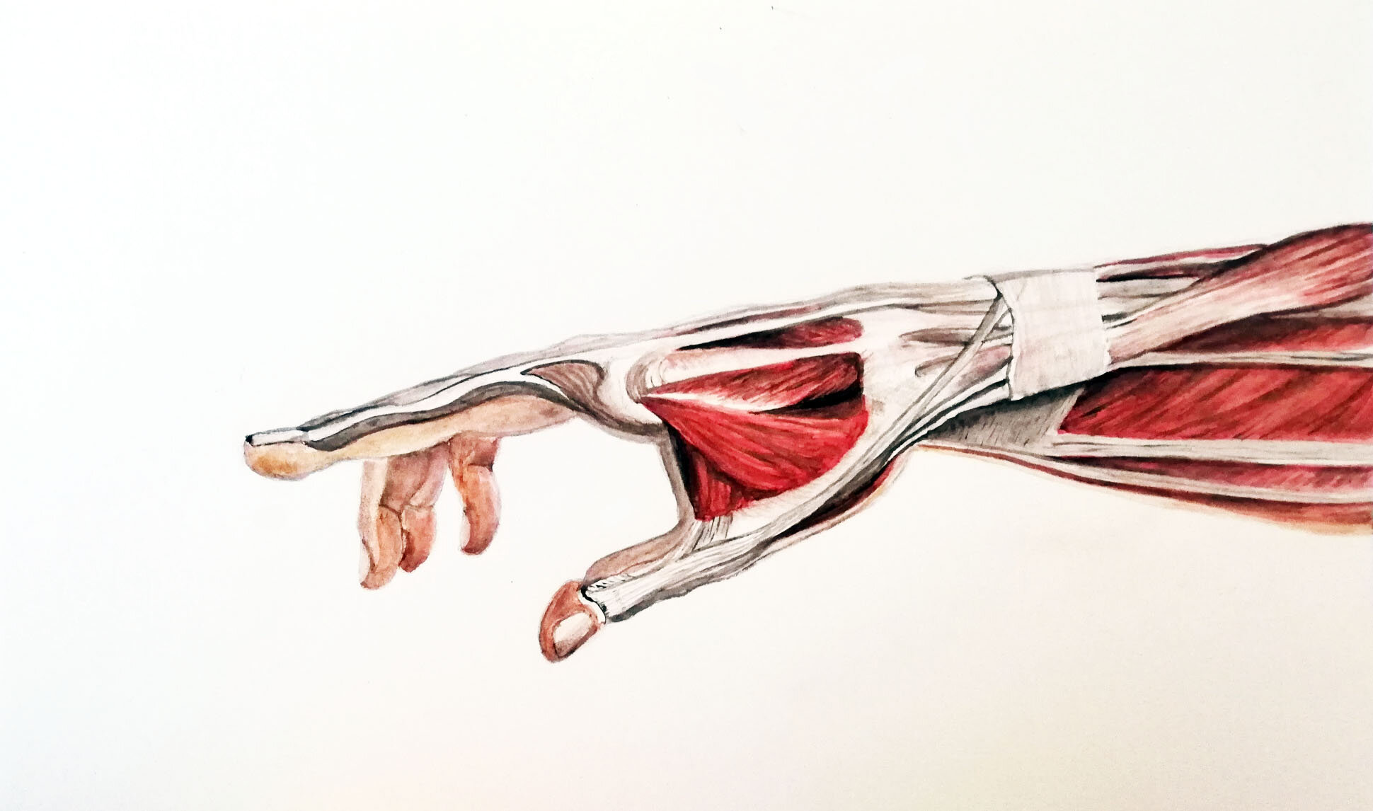 Watercolour. A4