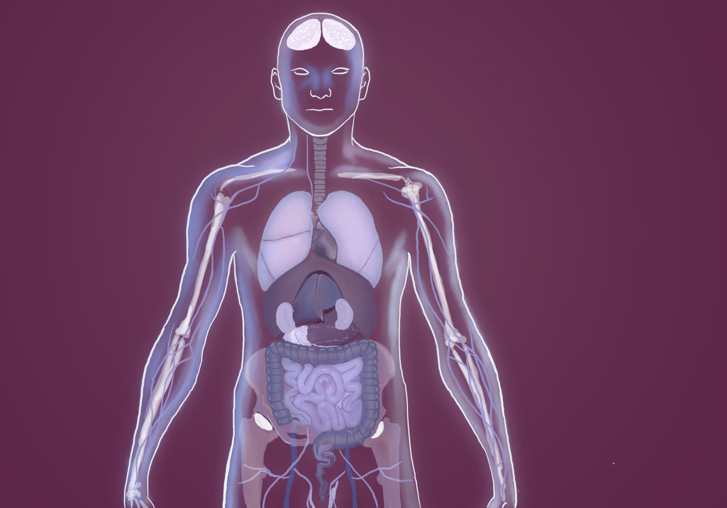 Untitled_Artwork (10).png